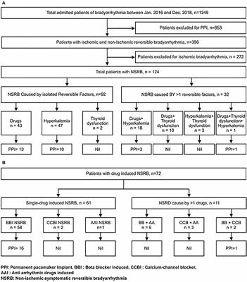 Recurrence rate and predictors in non-ischemic reversible bradyarrhythmias